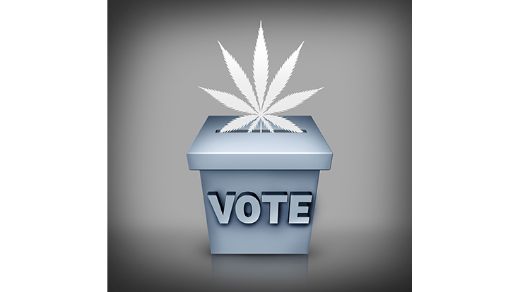 Voters to Decide on Marijuana Issues in California Cities